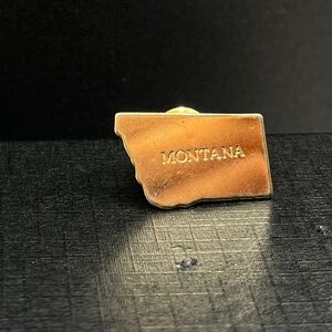 VTG Brass Avon Montana State Pin/Brooch- collectible